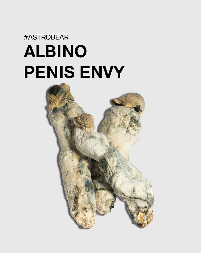 Albino Penis Envy