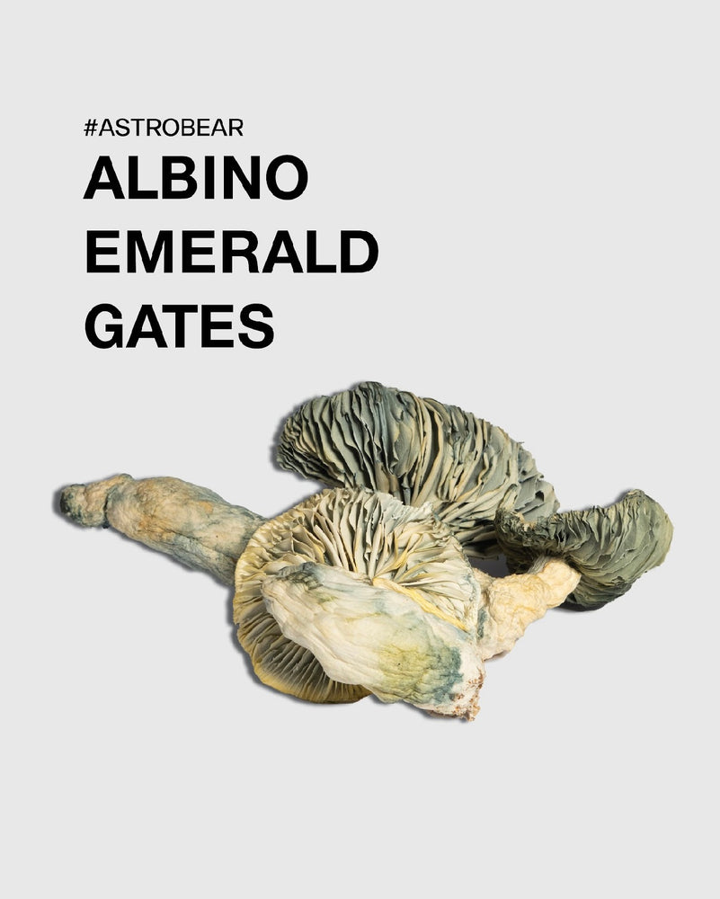 Albino Emerald Gates