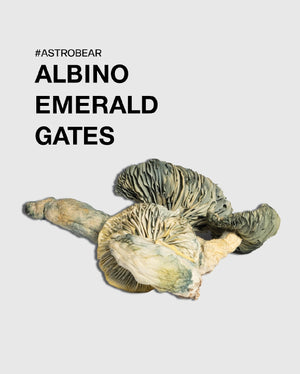 Albino Emerald Gates