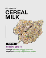 Cereal Milk