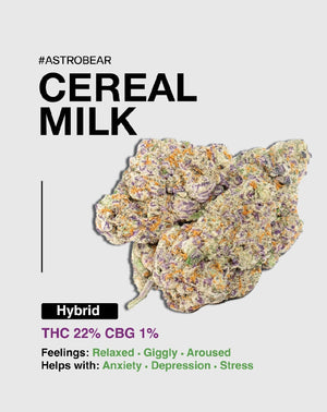 Cereal Milk