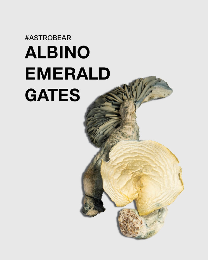 Albino Emerald Gates