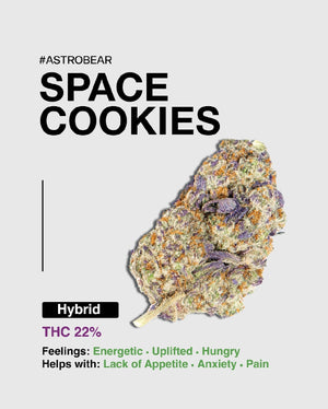 Space Cookies