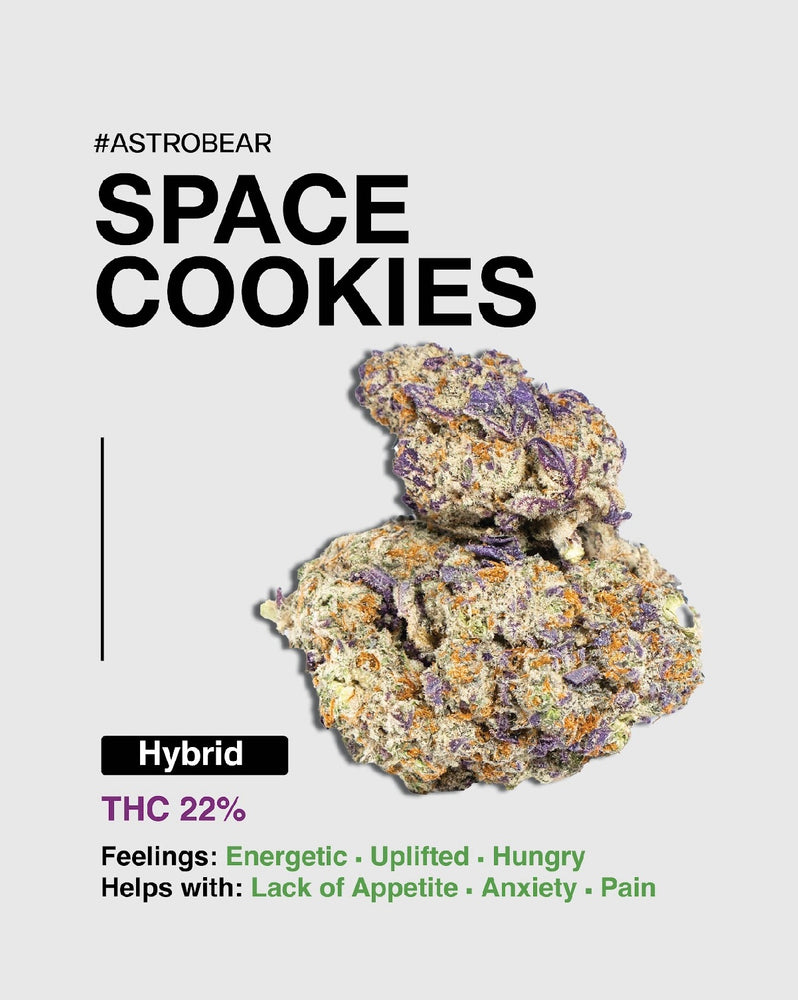 Space Cookies