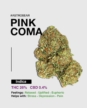 PINK COMA