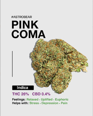 PINK COMA